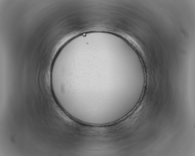 X0000114441238200911061657