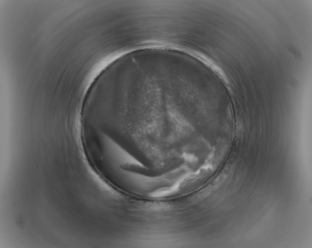 X0000114441239200911061657