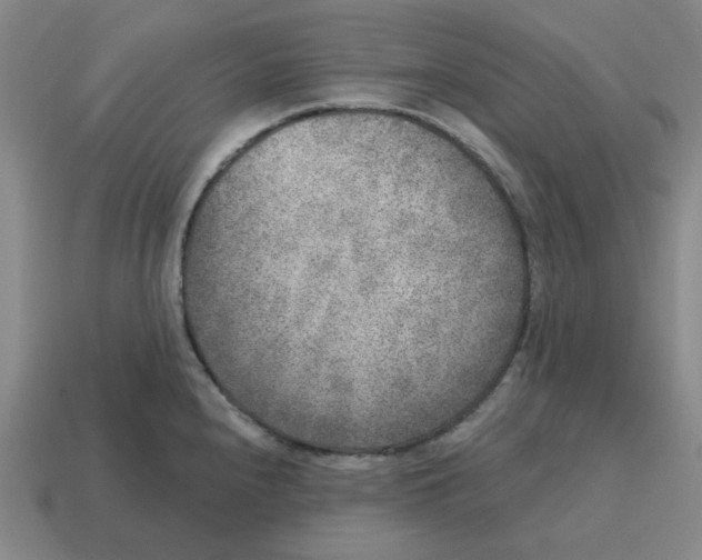 X0000114441240200911061657