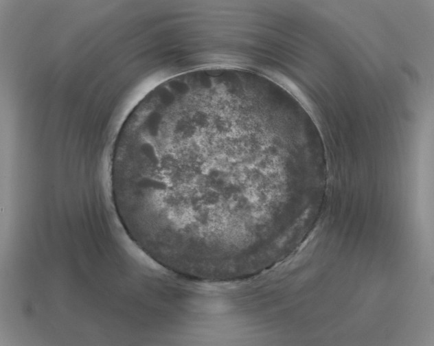 X0000114441243200911061657