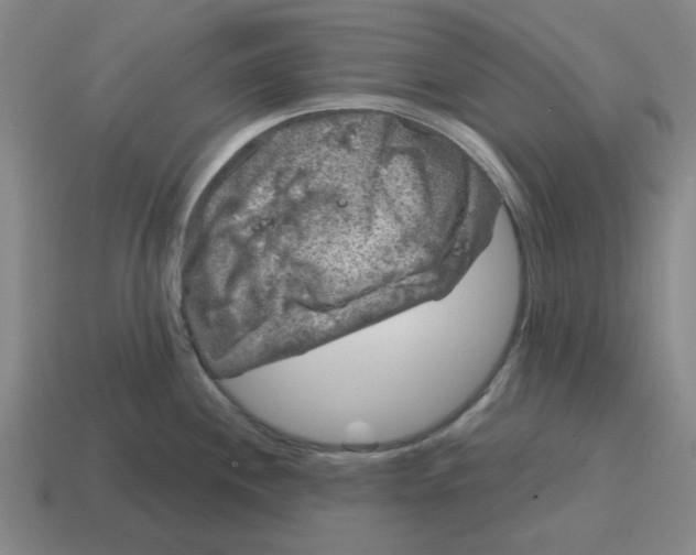 X0000114441244200911061657