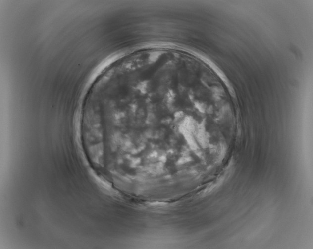 X0000114441245200911061657