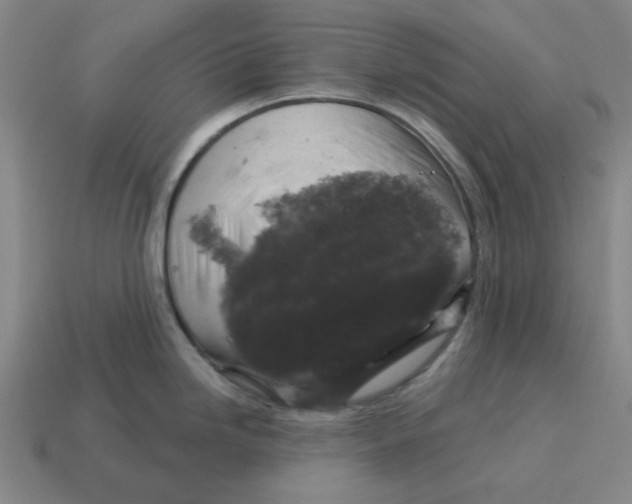 X0000114441246200911061657