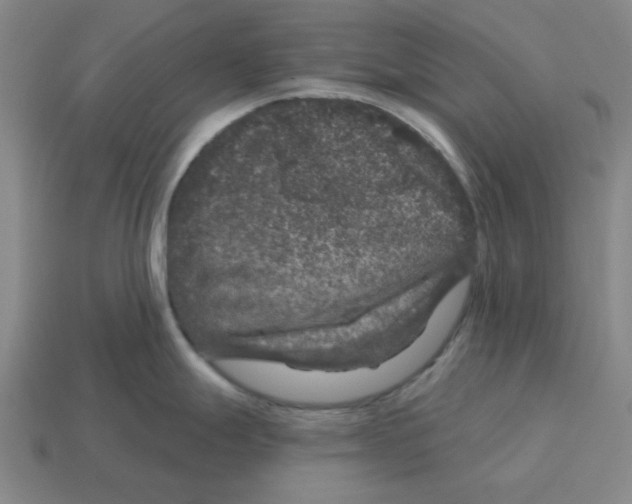 X0000114441247200911061657