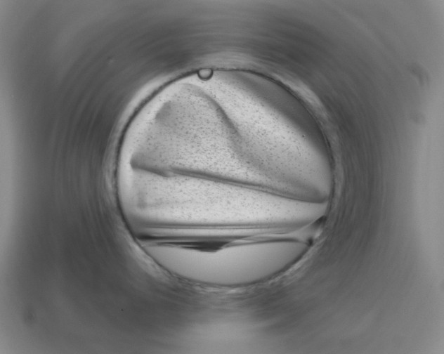 X0000114441248200911061657