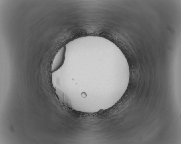 X0000114441249200911061656