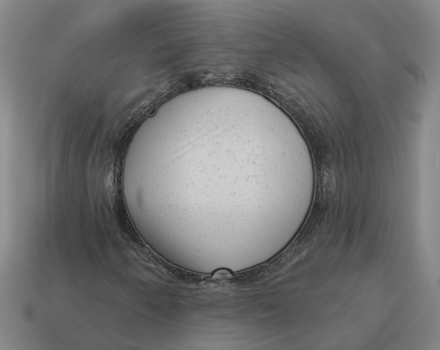 X0000114441250200911061656