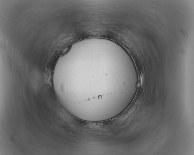 X0000114441251200911061656