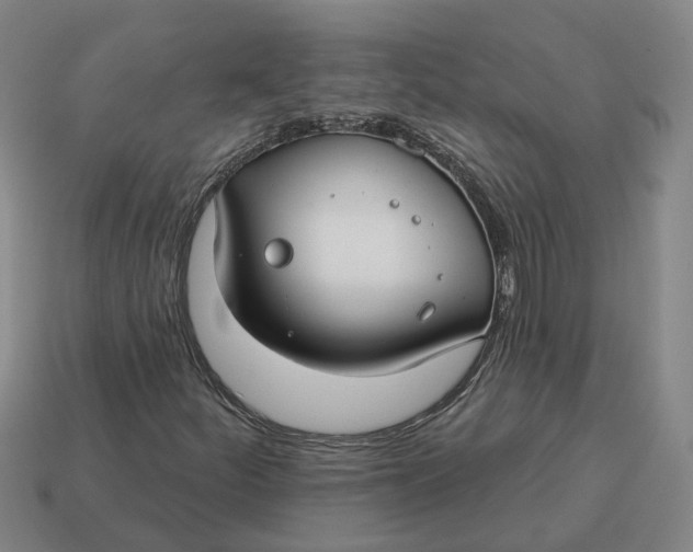 X0000114441252200911061656