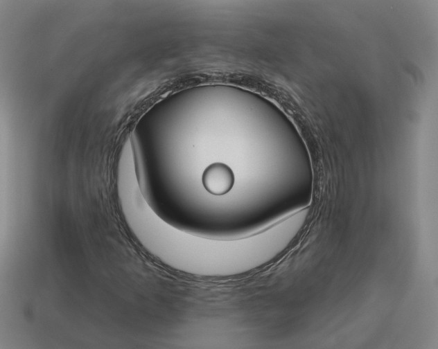 X0000114441253200911061656