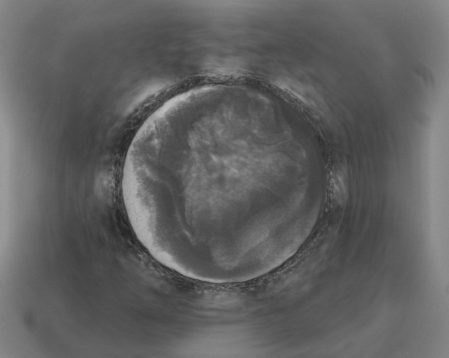 X0000114441254200911061656