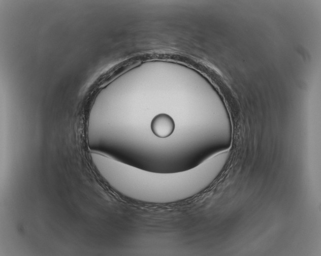 X0000114441255200911061656