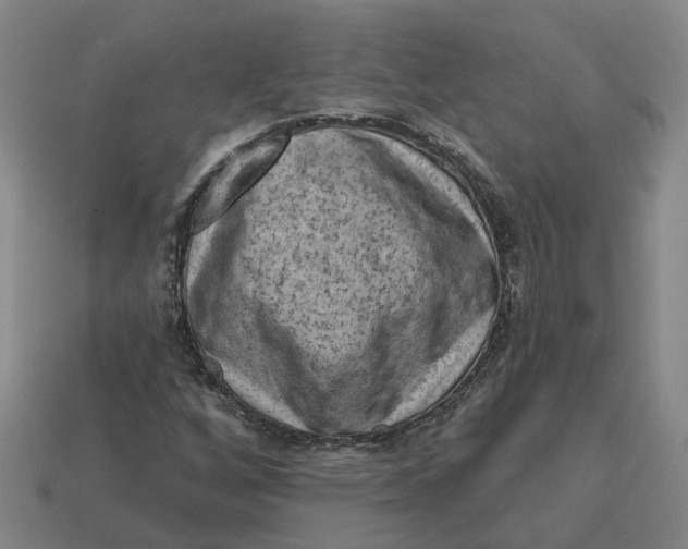 X0000114441256200911061656