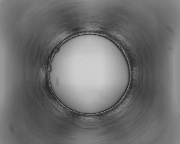 X0000114441257200911061656