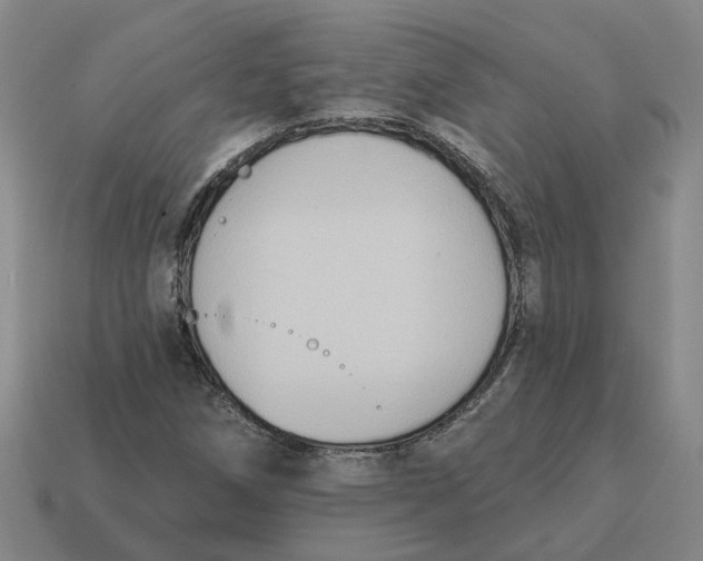 X0000114441258200911061656