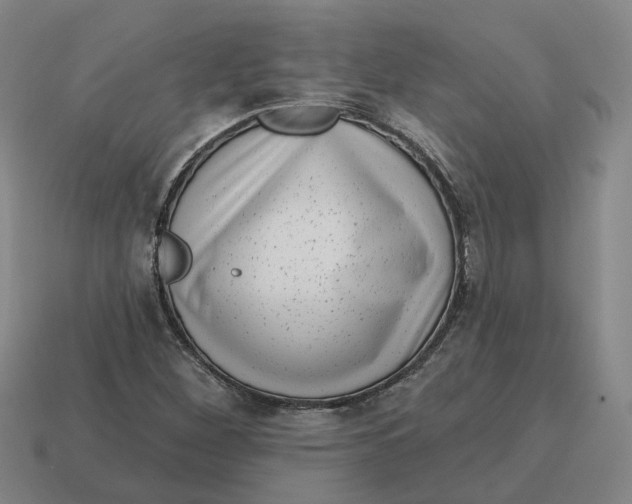 X0000114441260200911061656