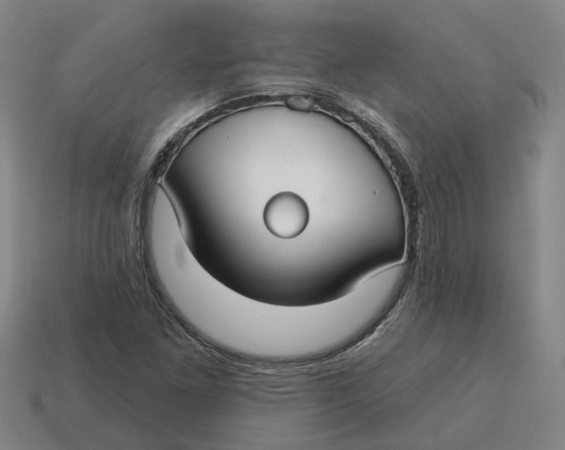 X0000114441261200911061656