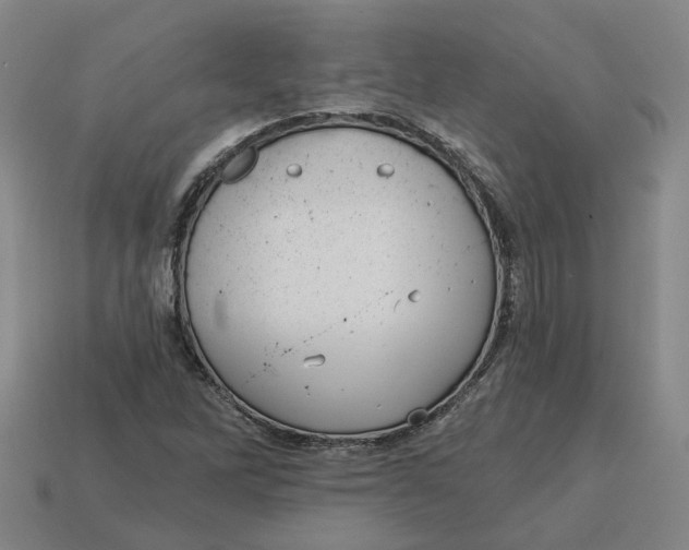 X0000114441262200911061656