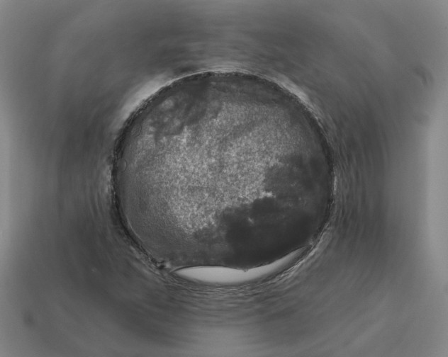 X0000114441263200911061656