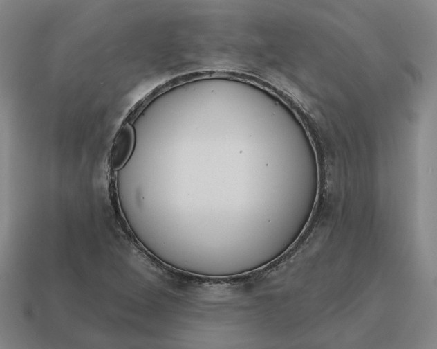 X0000114441264200911061656