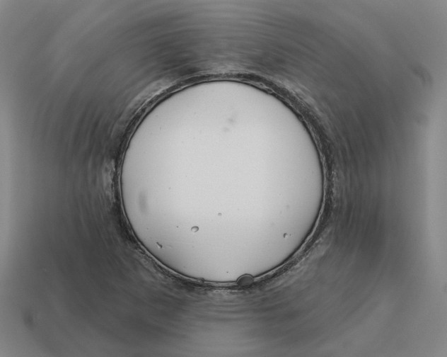 X0000114441265200911061656