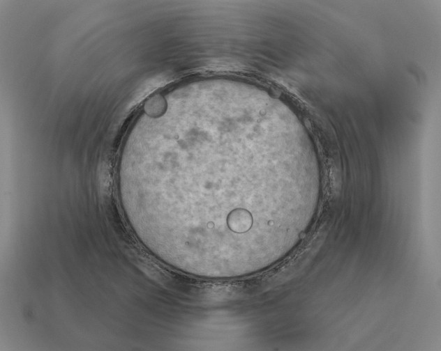 X0000114441266200911061656