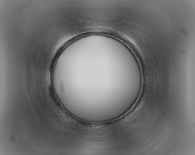 X0000114441267200911061656