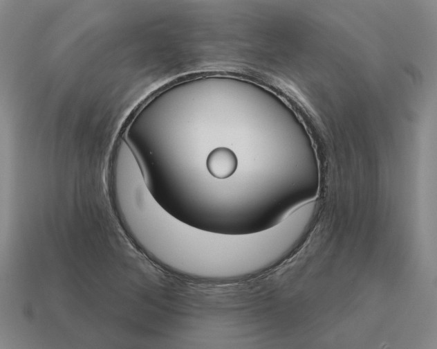 X0000114441268200911061656