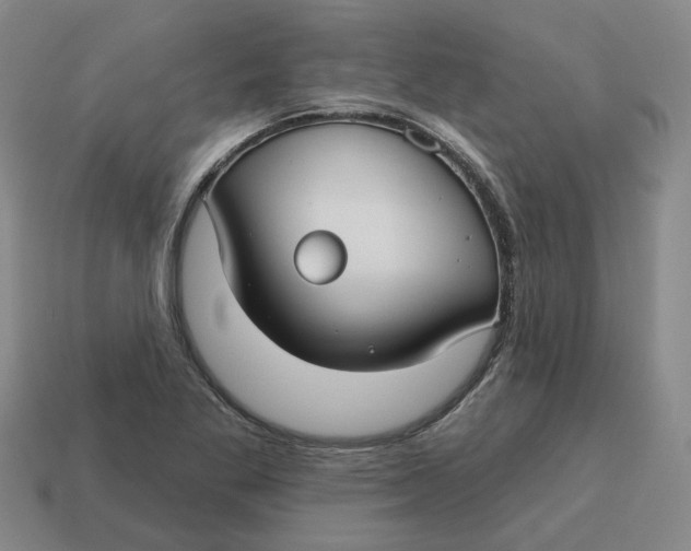 X0000114441269200911061656