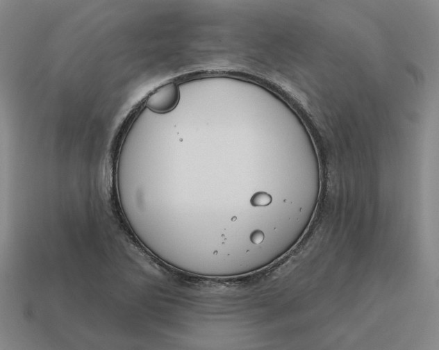 X0000114441270200911061656