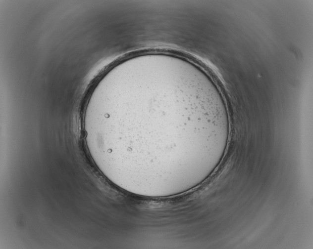 X0000114441271200911061656