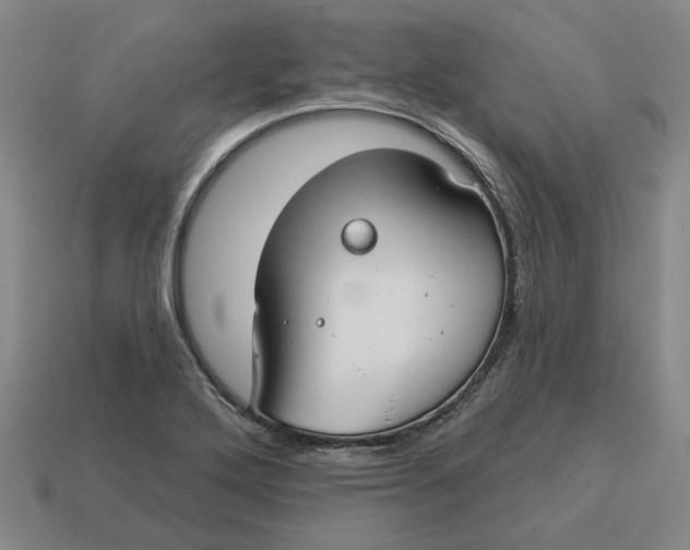 X0000114441272200911061656