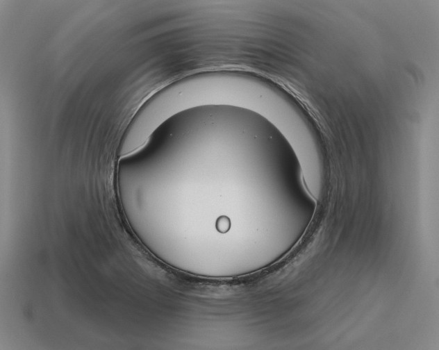 X0000114441273200911061656