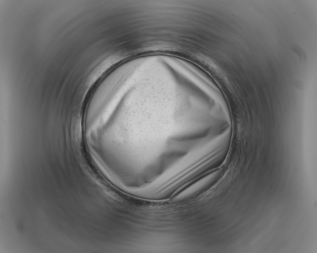 X0000114441274200911061656