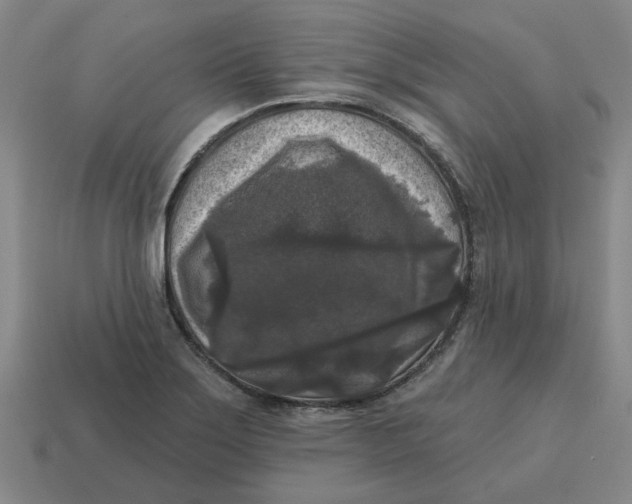 X0000114441275200911061656