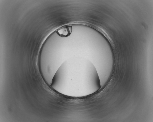 X0000114441276200911061656