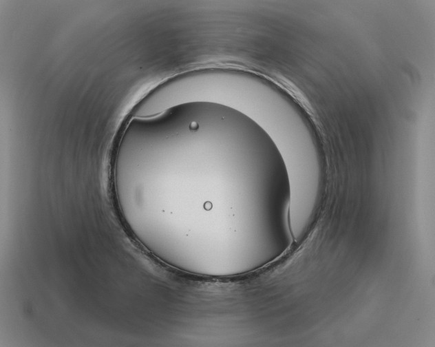 X0000114441277200911061656