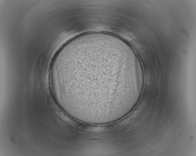 X0000114441278200911061656