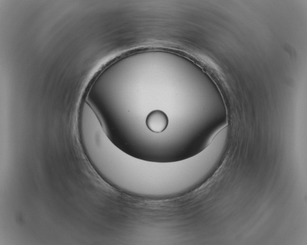 X0000114441280200911061656