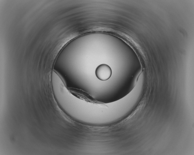 X0000114441281200911061656