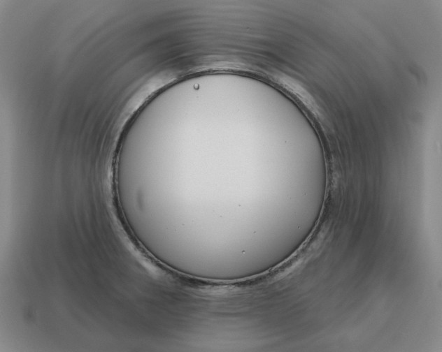 X0000114441282200911061656