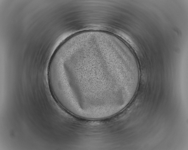 X0000114441283200911061656