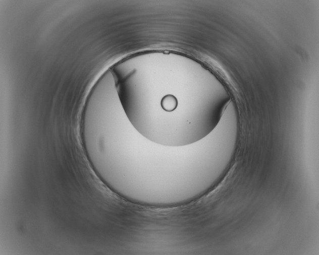 X0000114441284200911061656