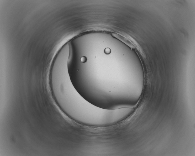 X0000114441285200911061656