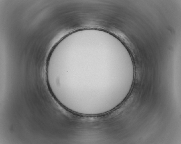 X0000114441286200911061656