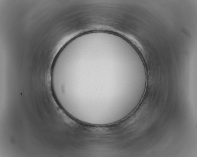 X0000114441287200911061656