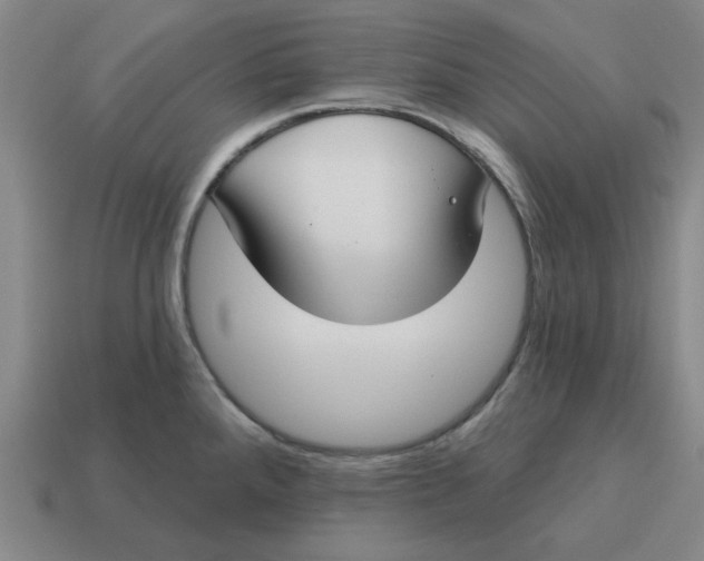 X0000114441288200911061656