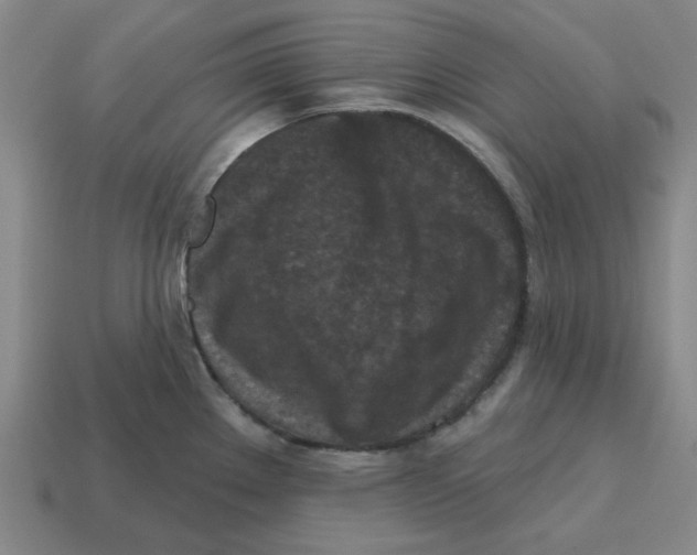 X0000114441289200911061656