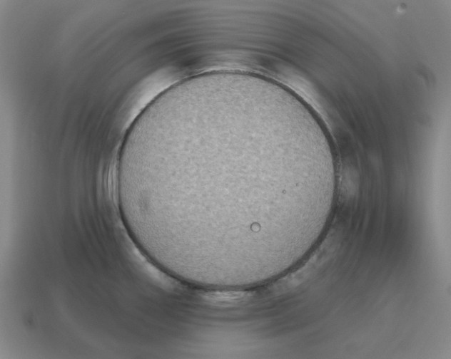 X0000114441290200911061656