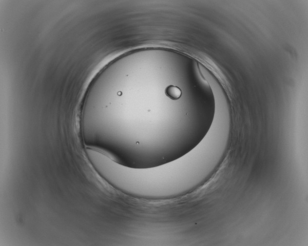 X0000114441292200911061656